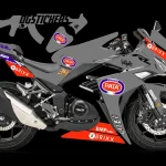 RKS R250 2022-2025 Pata kaplama seti